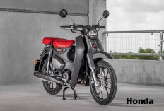 Honda Supercub C125 Bikin Nostalgia, Ini Spesifikasi Tangguhnya