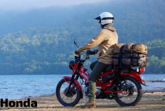 Dua Motor Ikonik Untuk Petualangan dan Gaya Santai, Adu Spesifikasi Honda CT125 Vs Honda ST125 Dax