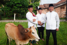 Wakili Wali Kota, Kadiskominfo Prabumulih Salurkan Hewan Kurban di Wonosari