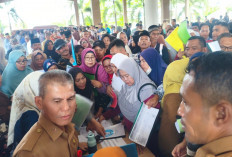 Wako H Arlan Janjikan Umrah Gratis bagi Pekerja Sosial yang Berdedikas