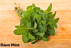 Khasiat Khusus Daun Mint Untuk Kesehatan, Meningkatkan Kesehatan Mulut