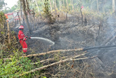 PHR Zona 4 Kerahkan Tim dan Armada, 113 Karhutla di Sumsel Berhasil Ditangani