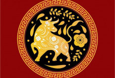 Ramalan Shio 10 Januari 2025, Kelinci Tidak Apa Untuk Bersenang Hari Ini