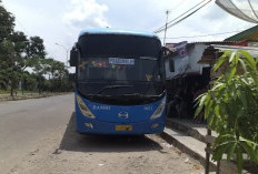 Warga Prabumulih Punya Pilihan: Damri Lebih Hemat, Travel Antar Sampai Alamat