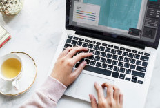 Laptop Ideal untuk Setiap Profesi: Programmer, Desainer, dan Video Editor