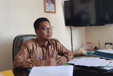 Sensus Ekonomi 2026: Data Usaha Jadi Kunci Pembangunan Kota Prabumulih