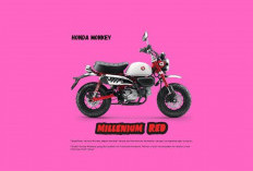 Have Fun Bersama Honda Monkey 2026, Bawa Spesifikasi Tangguh Untuk Perjalanan Keliling Kota