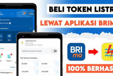 BRImo Permudah Warga Empat Lawang, IRT Kini Tak Perlu ke Kota Beli Token Listrik