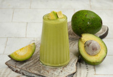 Jadi Salah Satu Minuman Favorit Masyarakat Indonesia, Ternyata Ini 4 Manfaat Jus Alpukat Untuk Kesehatan