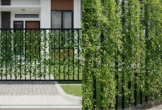 Tampil Estetik dan Fungsional: Ide Pagar Besi Kombinasi Tanaman di 2026