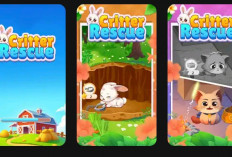 Dapatkan Saldo DANA Ratusan Ribu Hanya dengan Main Critter Rescue!