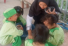 Seru dan Edukatif! Murid Baru TK IT Shoutul Qur'an Prabumulih Antusias Tangkap Ikan Hias