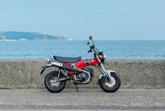 Honda ST125 Dax vs Honda Monkey dan Honda CT125, Motor Mini Retro Pilihan Anak Muda