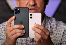Harga iPhone 12 Mini Bekas Oktober 2026, Mulai Rp4 Jutaan dan Ini Spesifikasinya