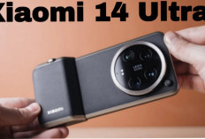 Daftar HP Xiaomi Terbaru dengan Kamera Terbaik di Semua Kelas Harga