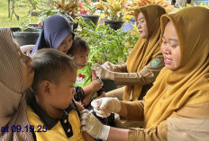 Kasus Campak di Sumsel Melonjak, 446 Positif dan 4 Daerah Masih KLB