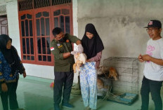 Distan Prabumulih Gerak Cepat, Vaksin Rabies Door to Door Dimulai di Sukajadi