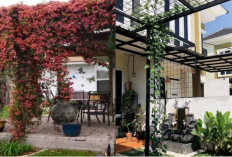 Tren Hunian Minimalis: Percantik Kanopi dengan Tanaman Rambat