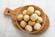 Miliki Rasa Manis dan Khas, Ini 4 Khasiat Buah Duku Untuk Kesehatan