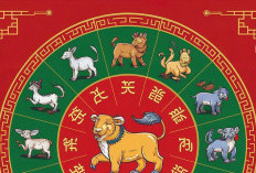 Ramalan Shio 18 Desember 2025, Kelinci Percayalah Pada Intuisi Anda Hari Ini