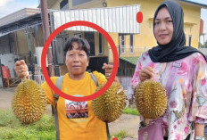 Kepergian Bik Anop Tinggalkan Duka Mendalam, Sosok Pekerja Keras dan Penolong Warga Cambai