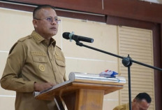 Prabumulih Buka Sayembara, Tangkap Pembakar Lahan Diganjar Rp10 Juta