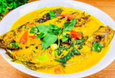 Mangut Lele Khas Dapur Mama Key, Olahan Ikan Berkuah Santan Pedas yang Cocok untuk Menu Makan Siang