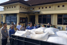 Petani Desa Pangkul Panen Hasil Manis, Jagung Berkualitas Diterima Bulog