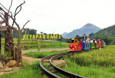 BRI Perkuat Ekonomi Desa: Desa BRILiaN Kini Menjangkau 5.245 Desa