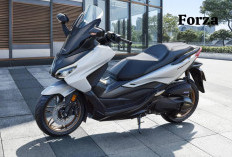 Upgrade Motor Kegaya Baru, Ini Spesifikasi Honda Forza yang Siap Temani Aktifitas Anda