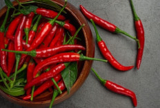 Cabai Cepat Busuk? Begini Trik Jitu Menyimpannya agar Awet Berbulan-bulan