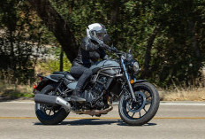 Kawasaki Eliminator vs Honda Rebel 500 dan Royal Enfield Shotgun 650, Mana yang Lebih Menarik?